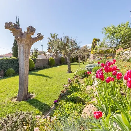 Mas Guelo Villa Blanes
